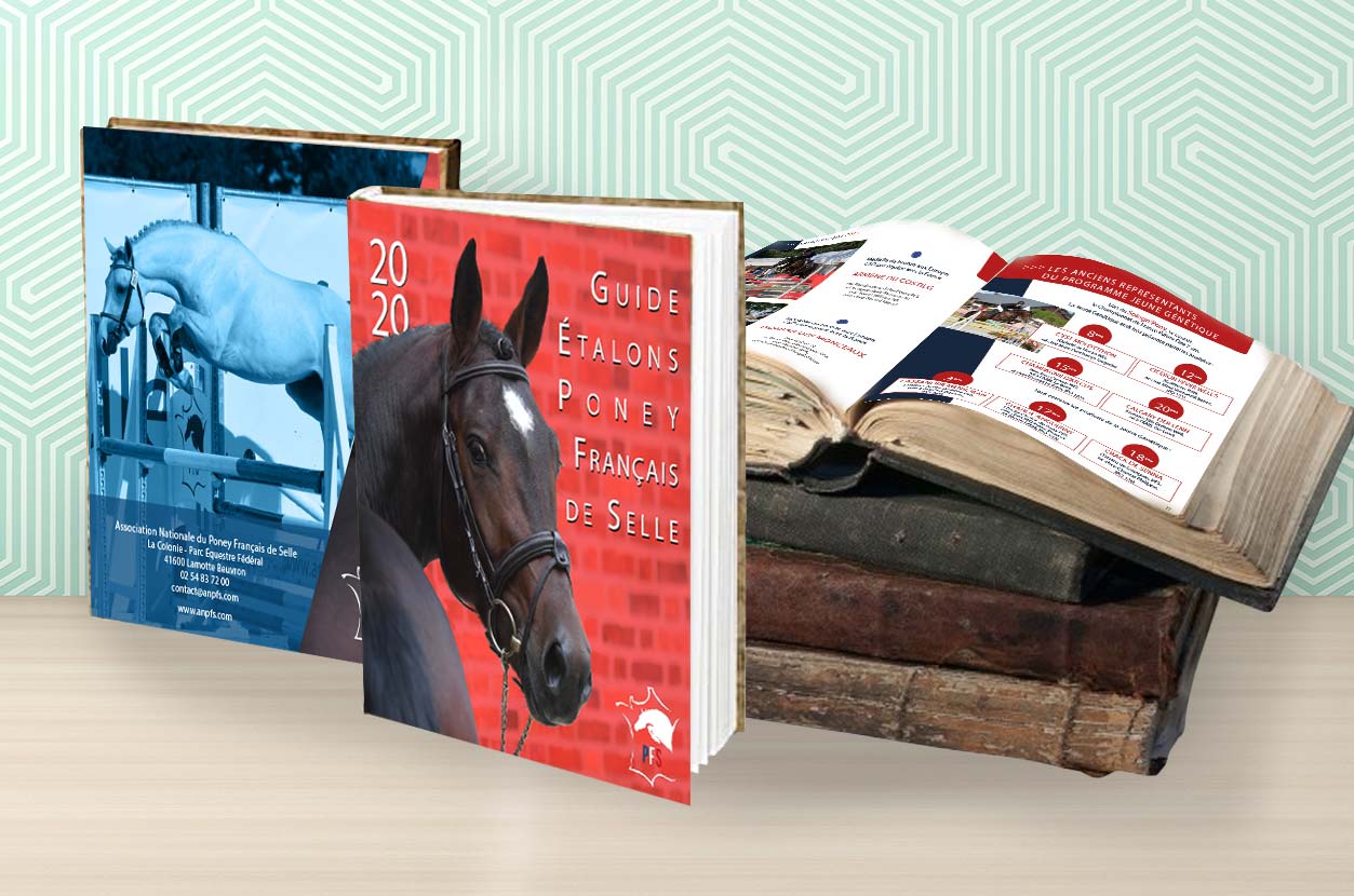 Formations  PAO Infographie  à Orléans 45, Chartres 28, Auxerre 89 